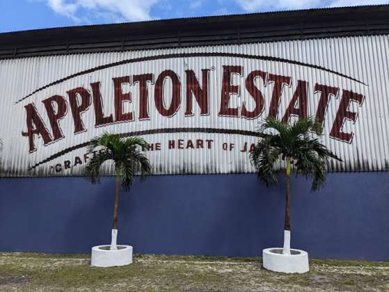 Appleton Hearts Collection 3