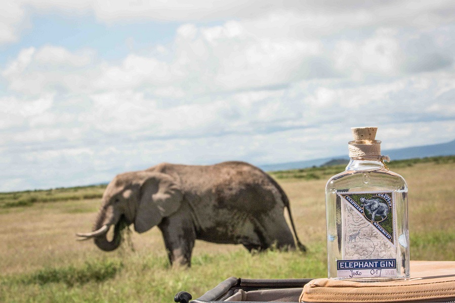 Da Elephant Gin una drink list per il World Elephant Day