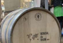 mondial du rhum 2025